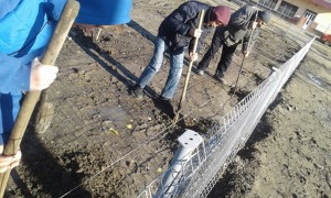 298_Vasieni_PlaiNatal_WEB