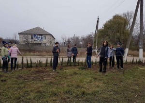 304_Bardar_GreenPeace_WEB