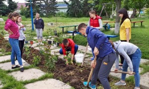 18700538_1341455262586428_1250816578021287418_o